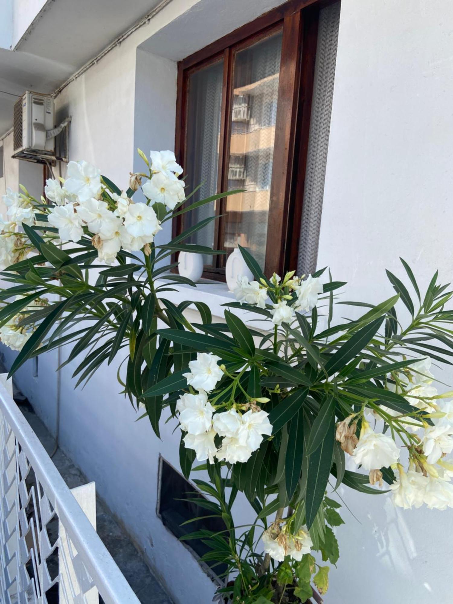 Guest House Hei Taka Sozopol Bagian luar foto